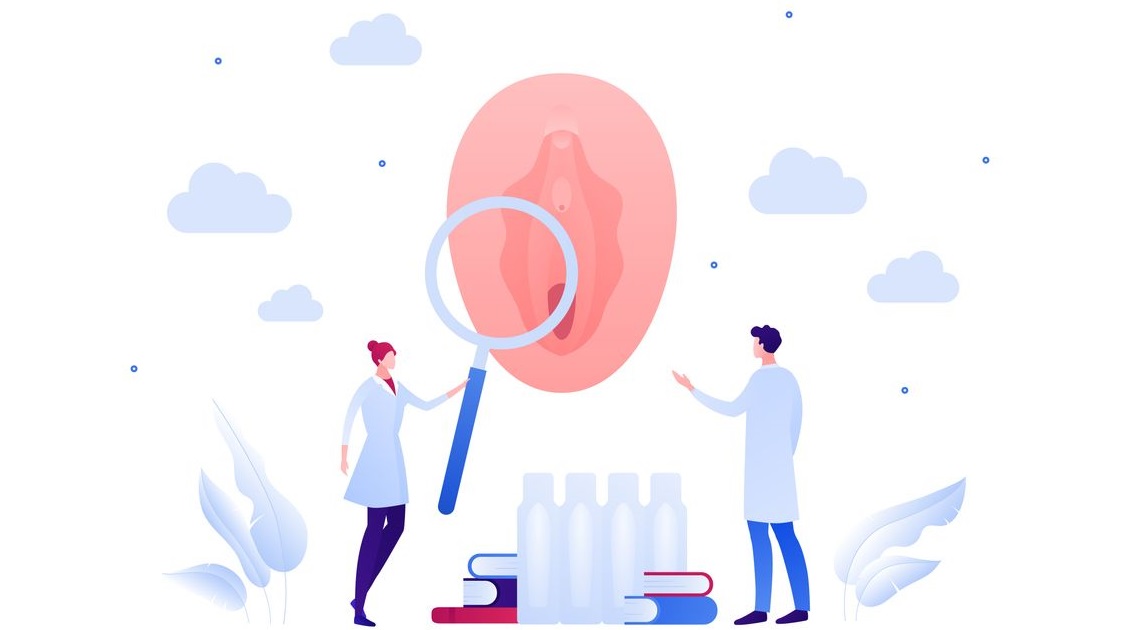 vulva