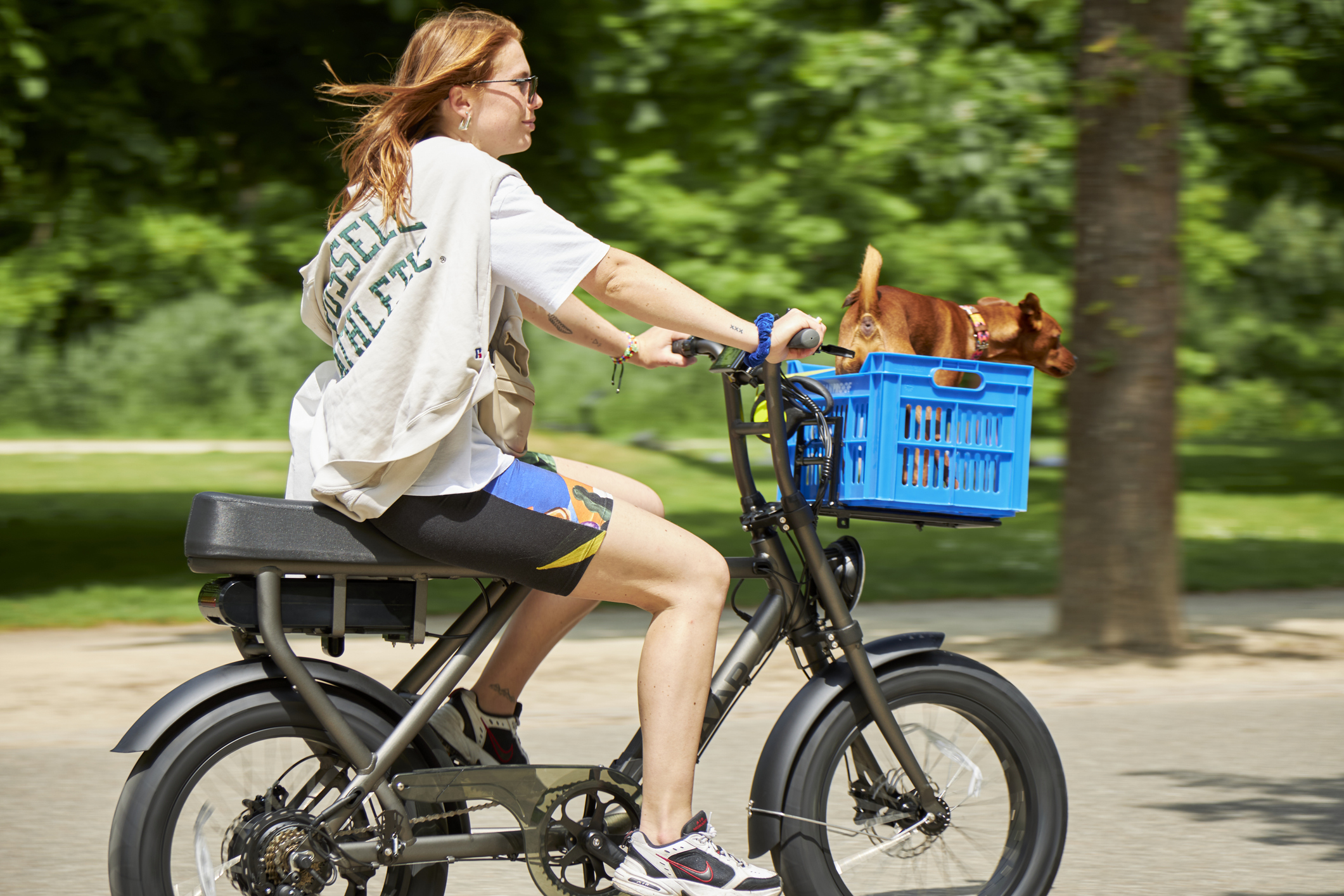 Fatbike