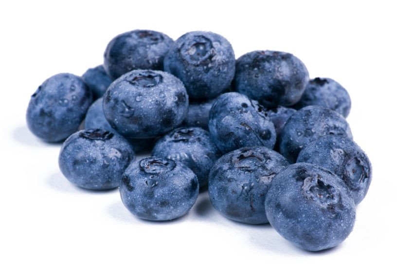 Gezond idee blauwe bessen voeding vitaminen genezingsproces weerstand polyfenolen gezondheid resveratrol Crohn