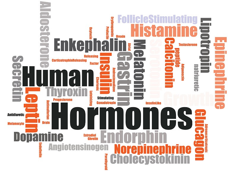 Hormonen